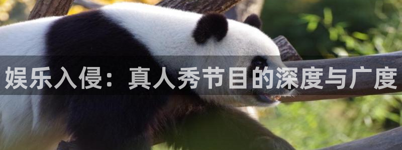 jjb竞技宝app网站：娱乐入侵：真人秀节目的深度与广度