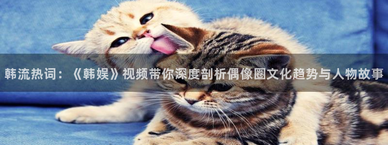 jjb竞技宝官网：韩流热词：《韩娱》视频带你深度剖析偶像圈文化趋势与人物故事