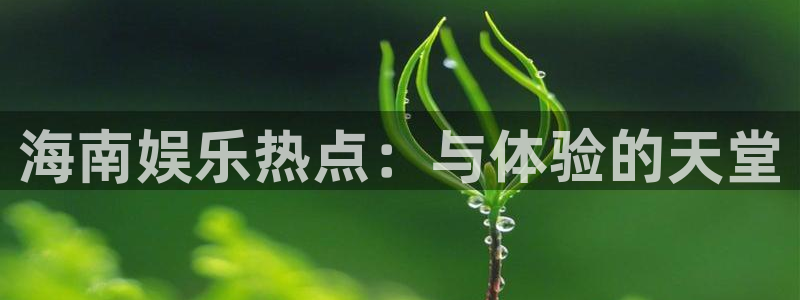 jjb竞技宝app：海南娱乐热点：与体验的天堂