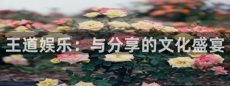 jjb竞技宝(中国)：王道娱乐：与分享的文化盛宴