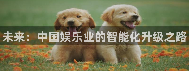 jjb竞技宝app：未来：中国娱乐业的智能化升级之路