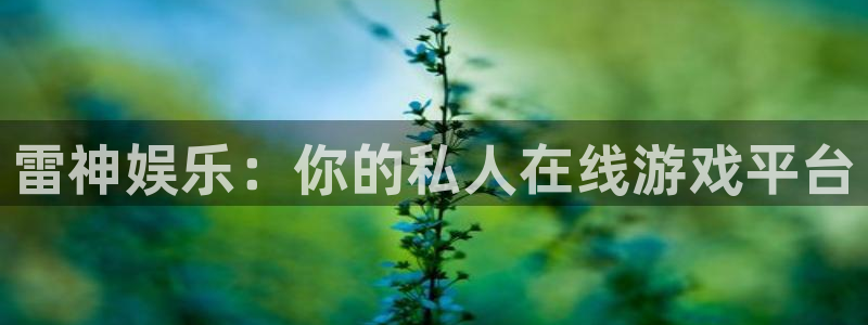 jjb竞技宝app网站：雷神娱乐：你的私人在线游戏平台