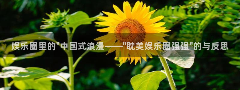 jjb竞技宝：娱乐圈里的\