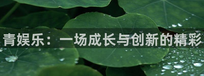 jjb竞技宝app：青娱乐：一场成长与创新的精彩